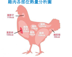 雞肉熱量分析圖